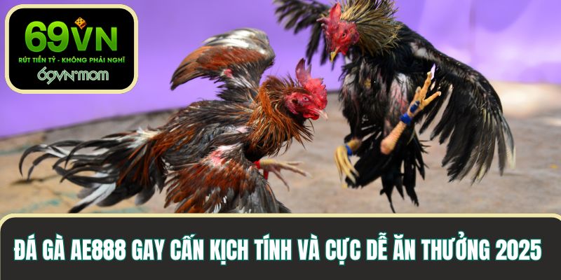 Đá gà ae888